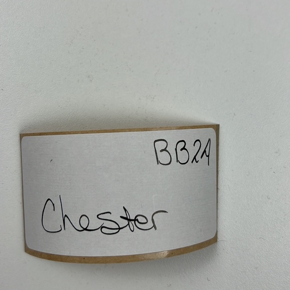 Chester by Melanie Watt - Picture 4 of 8